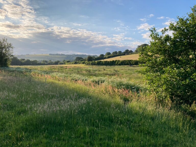 Langley Moor landscape photo