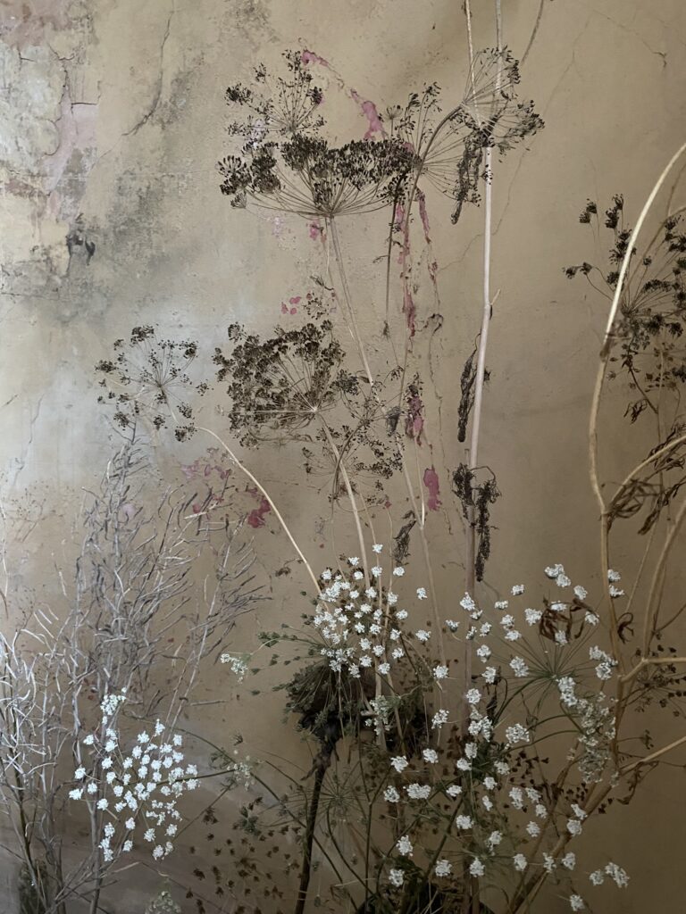 Jan Boddington - Meadow