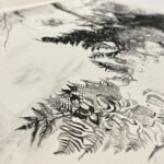 Lucy Cooper Inky Ferns
