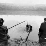 Chris Willoughby - Eel Clotting